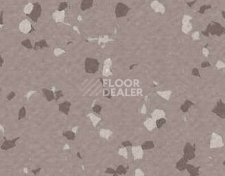 Линолеум Taralay Premium Brazilia 4329 Bacabal фото 1 | FLOORDEALER